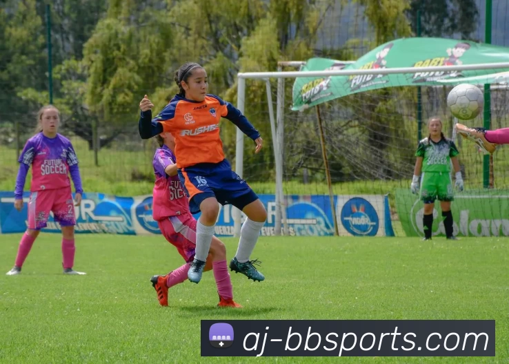 贝博体育BBSport发展历程